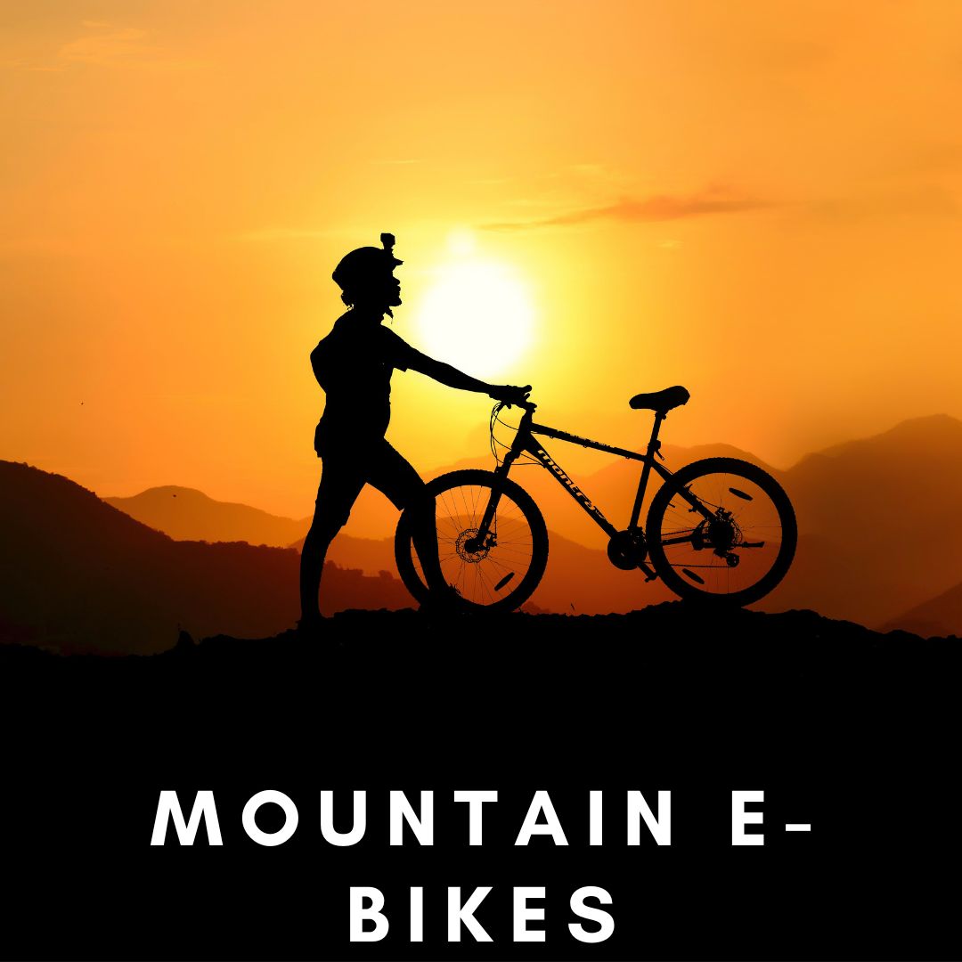 Mountain E-Bikes
