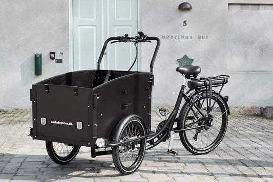 Amcargo Ultimate Curve Cargo Electric Tricycle