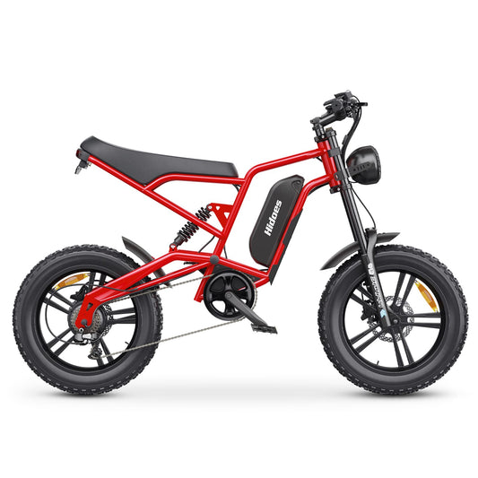 Hidoes B6 Electric Bike