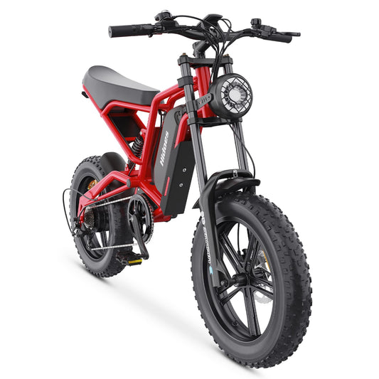 Hidoes B6 Electric Bike